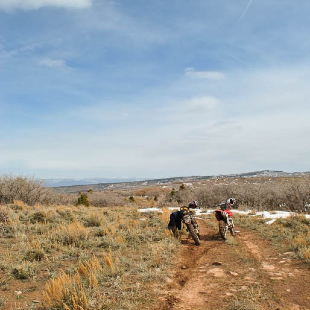 Escape to the Wild: Your Gateway to Colorado Adventures at Transfer Campground