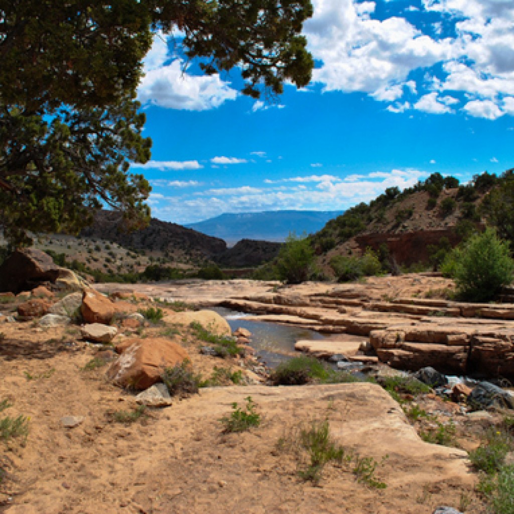 Bangs Canyon – Wild West River Rider