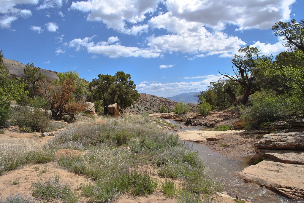 Bangs Canyon – Wild West River Rider